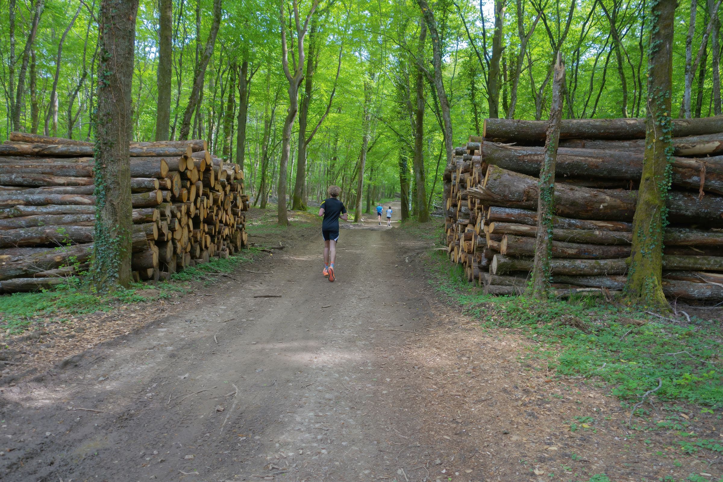Un corredor de espaldas por una pista forestal entre pilas de troncos.